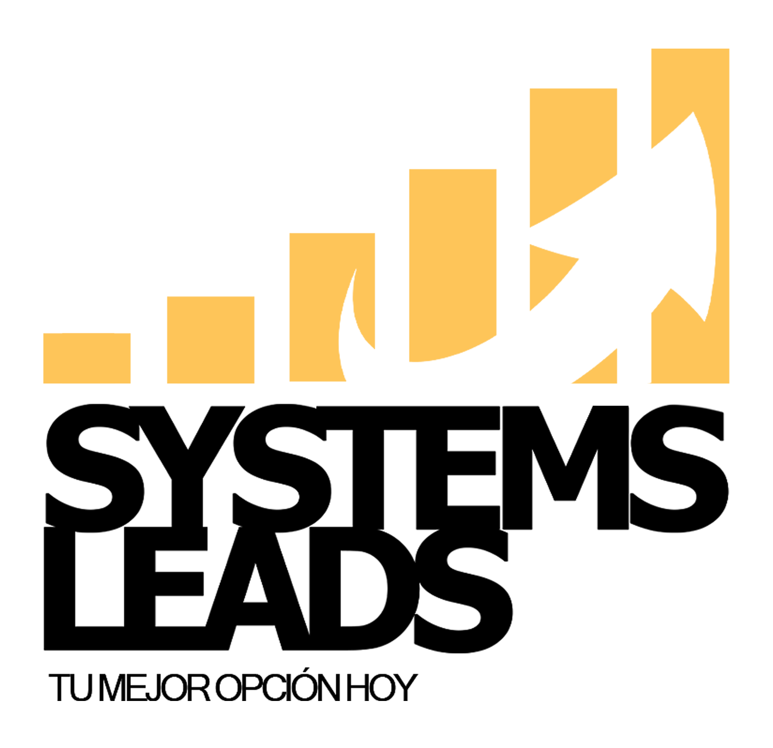Systems Leads